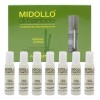 Midollo Di Bamboo Ampolletas Caja 12x13ml Alfaparf