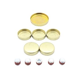 DNJ FPS4137 Kit de Tapones de Expansion Compatible con Ford Aerostar 1991-2008 3.0L V6 OHV 12V 182cid