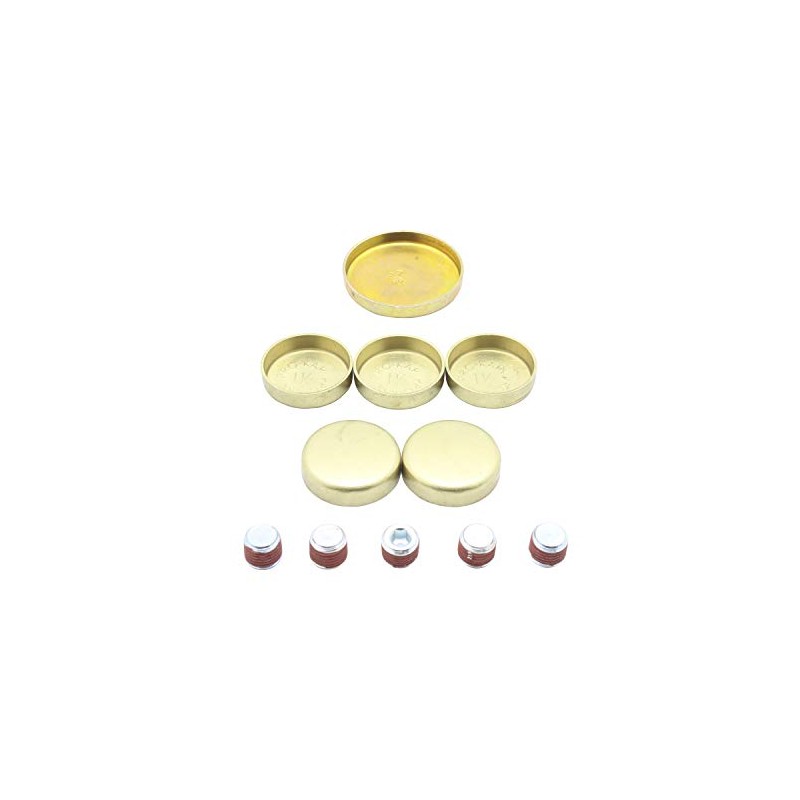 DNJ FPS4137 Kit de Tapones de Expansion Compatible con Ford