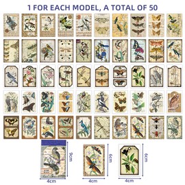 Pack of 50 Washi Stickers for Scrapbook, Vintage Bird Animal Stickers, DIY Decorative Stickers for Journaling Accessories, Scrapbooking Accessories, Photo Album, Diary Planner Album, Laptop, Card