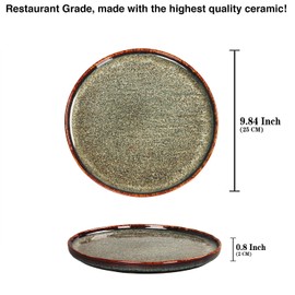 jinsongdafa Appetizer plate Porcelain Dinner Plates Set of 4,for Main Dish,Steak,Bread,Risotto,Pasta,Salad - Microwave,Oven and Dishwasher Safe,Scratch Resistant durable,9.84 Inch Black