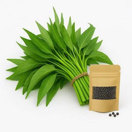 Kong Xin CAI Seeds, 0.5 Ounce 300+ Green Leaf Vegetable Seeds for Planting Non-GMO Choy Ong Seeds