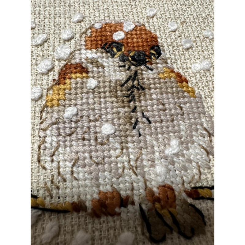 RIOLIS - Passero 1680, Punto croce 10x10cm, Punto croce kit