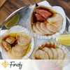 Finoly Large Natural Shells Pack 4/8/12/16 Pieces for Kitchen Decoration