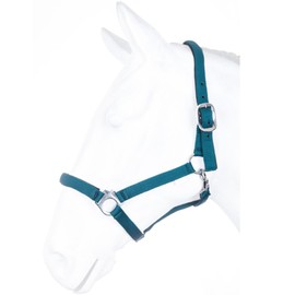 HKM by Reiterladen24 Basicline Lined Headcollar Petrol Warmblood