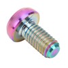 12pcs RISK Bicycle Disc Brake Rotor Bolts M5x10mm T25 Titanium