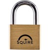 Henry Squire Lion Premium Solid Brass 5 pin Double Locking