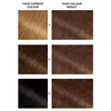 Garnier Belle Color Brown Hair Dye Permanent, Natural looking Hair