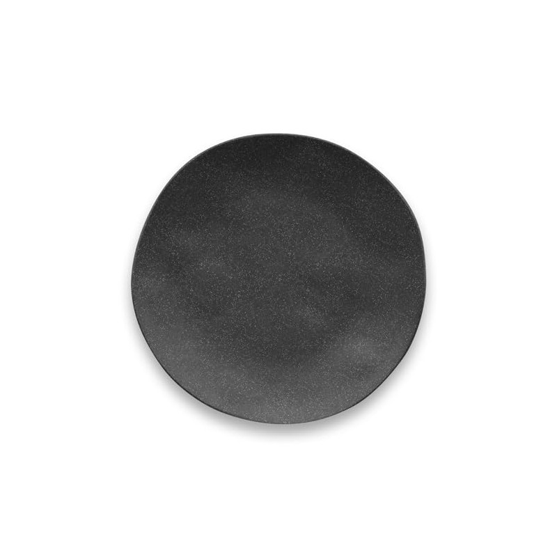 Natural Dishwasher-Safe Tableware TT20743872 Matte Black Platter, Dinner Plate, 10.6