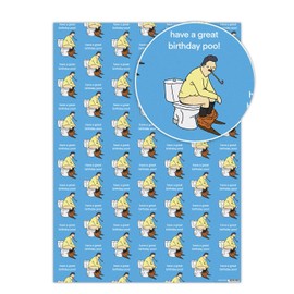 Brainbox Candy - 2 Sheets of Funny 'Birthday Poo' Wrapping Paper - Otherwhats - Hilarious Illustration Cartoonist - Silly Cheeky Gift Wrap For Him Her Men Women Friends Mates