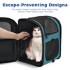 Apollo Walker Dog & Cat Carrier Backpack for 4-18lb Pets