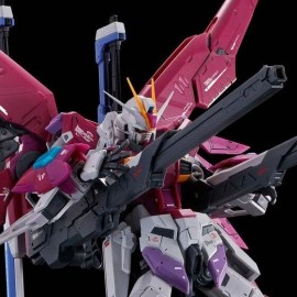Bandai Premium BANDAI  RG 1/144 DESTINY IMPULSE GUNDAM | Brand New