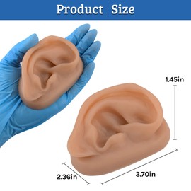 SimCoach Modelo de oreja de acupuntura, réplica de oreja artificial derecha para enseñanza de terapia auricular, práctica de perforación, audífonos, exhibición de joyas (café)