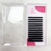 Eyelash Extensions 0.07 DD Curl 8-15mm Mixed Tray Premium Individual