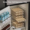 HIYOHIYO Clear 60 Egg Holder for Fridge, High Capacity Egg