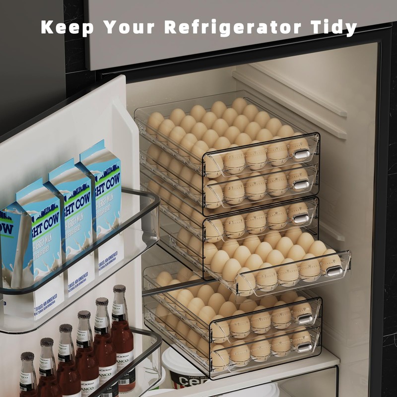 HIYOHIYO Clear 60 Egg Holder for Fridge, High Capacity Egg