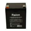 Raion Power 12V 5Ah T2 F2 Battery For Energy Power