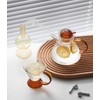 IwaiLoft IL-GS03 Handmade Heat Resistant Glass Tea Pot with Tea