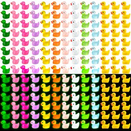Vyuwast 200 PCS Mini Resin Ducks and Colorful Luminous Tiny Ducks, 10 Colours Tiny Miniature Ducks, Miniature Duckies Figures Kit for Aquarium Garden, Potted Dollhouses Christmas Decoration
