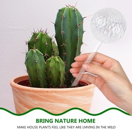 Viitech 4pcs Plant Watering Globes, Patterned Glass Plant Bulbs for Watering，Fish Pattern Spherical Flower Waterer for Indoor and Outdoor Plants