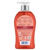 Softsoap Softsoap Energized Liquid Hand Soap, Paraben Free, pH Balanced,