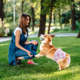 Aomig Dog Nappies for Female Dogs, Pack of 3, Washable, Leak-Proof Heat Pants for Female Dogs, Reusable Sanitary Towels Panties for Female Pets, Highly Absorbent Ncontinence Dog Nappies