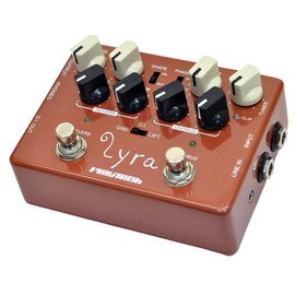 PLAYTECH 2-Band EQ Preamp for Acoustic Guitar with Reverb Chorus Effect