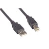 Cablelera 10' USB A-M/B-M Cable (ZCCDDKMM-10)