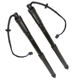 2PCS Rear Tailgate Strut Power Lift Support Shock Strut Compatible with Hyundai Vehicle 2013-2019 Santa Fe 3.3L 2.4L 81771-B8100 81780B8100 81771B8100