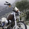 PortableAnd Genuine Leather Carry Strap for Motorcycle & Picnic Bedroll