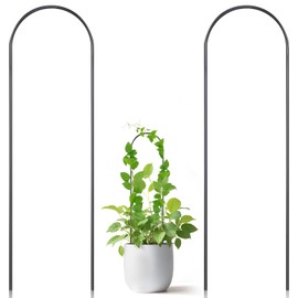 Oruola 2 Pack Plant Trellis for Pots,U-Shaped Small Trellis for Potted Plants,13.4 Inch Metal Indoor Plant Trellis for Potted Plants for Vine Ivy Hoya Monstera,Indoor Outdoor Use, Black
