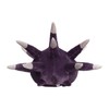 Pokémon Center Original Plush Bachin Urchin