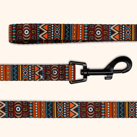 CollarDirect Aztec Dog Leash Nylon Tribal Pattern Cat Pet Leashes for Small Medium Large Dogs Puppy Lead 5 FT Long for Walking (Aztec Sunset, L, New)