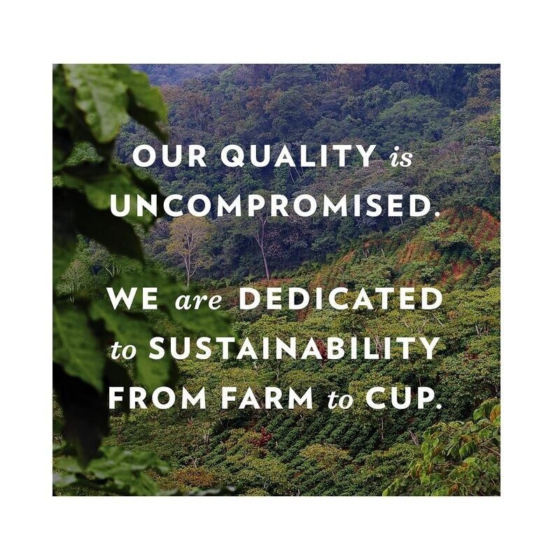Community Coffee Café Special Decaf Ground Coffee, Medium Dark Roast,