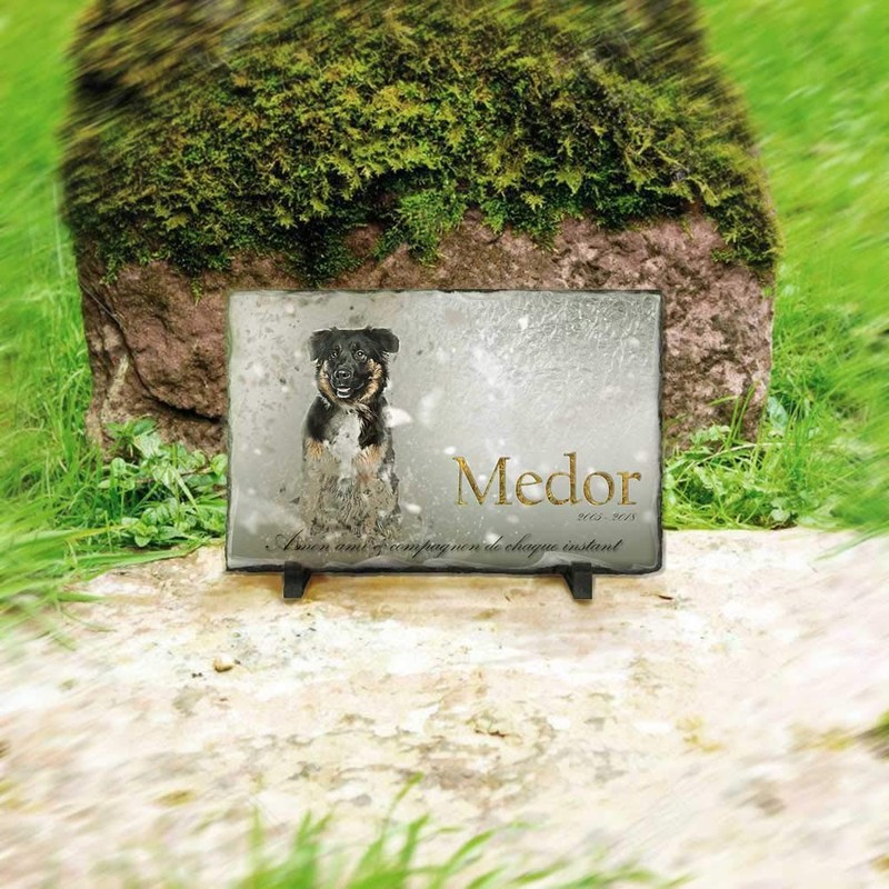 [Customisable: Photo & Text] Your Dog Fall Ornament 22/12cm