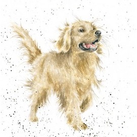 Birthday / Blank Card (WRE2036) Golden Boy - Dog