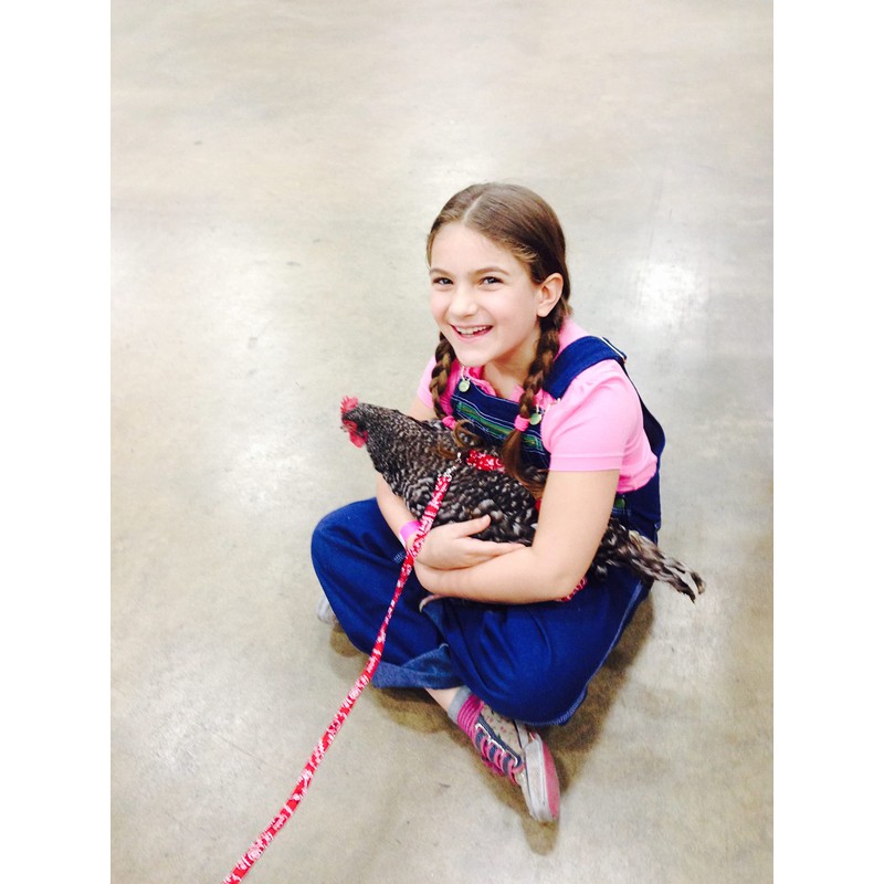 Holster Leash, Red Bandana