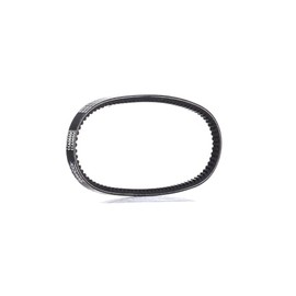 Dayco 11A0650C Gürtel für SEAT/VW