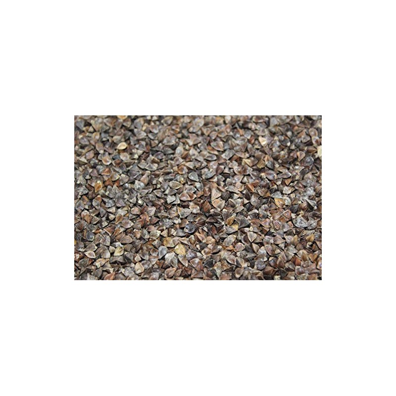 5 Lb. Buckwheat Wildlife Food Plot Seed, Quail, Ducks, Geese,