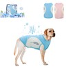 DELIFUR 2 Pack Dog Cooling Shirts- Quick Dry Sun Protection