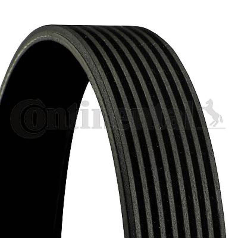 Contitech 8PK2630 Stiée Belt