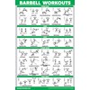 Palace Learning 4 Pack - Dumbbell Workout Posters Volume 1,