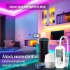 RC Lighthouse RGB WiFi Controller LED Light Controller Alexa Google
