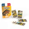 Ducale, le jeu français 7 Family Game - Dinosaurs