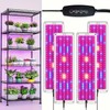 LED Grow Light