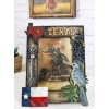 Ebros Gift Rustic Western Patriotic Texas Mockingbird Windmill Bluebonnets Picture