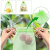 100 Pcs Fruit Protection Bags, CAASFOOY 6.7×9inch Fruit Grape Protective