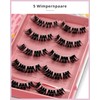 GIRLGOTLASHES Sassy Mess Large Boxes Handmade Eyelash Extensions for Home