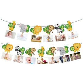 Ali's Creationz 1st Birthday Decorations For Boys Girls, Wild One Birthday Decorations, Animal Photo Banner, Jungle Safari Animal Birthday Banner Set,