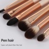 Eye Makeup Brush Set, 6 Pcs Professional Blending Eyeshadow Makeup